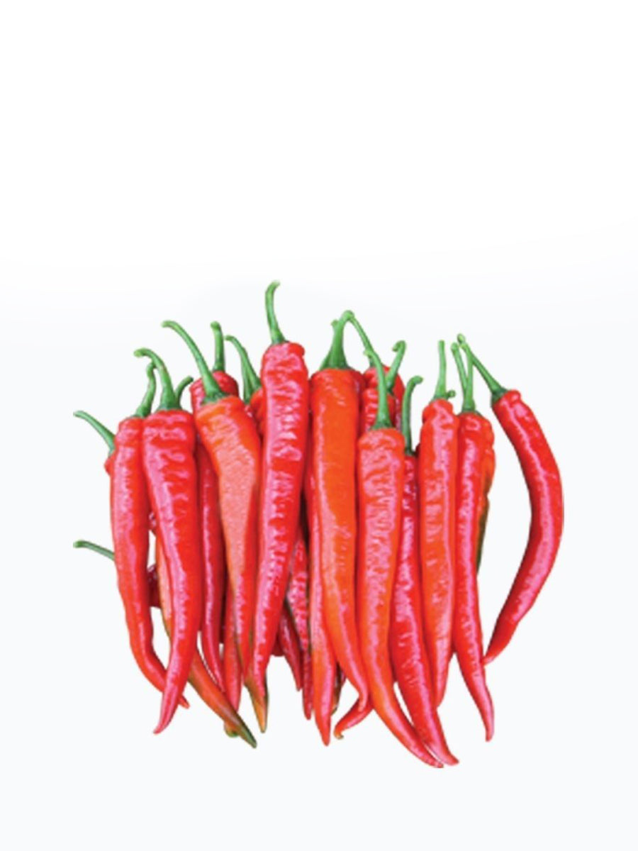 Red Chilli Cili Merah 150g Village Grocer Tamarind Square